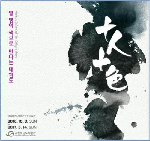 [종료] 2016 <열명의 색으로 만나는 태권도>